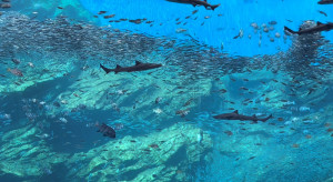 海の水族館