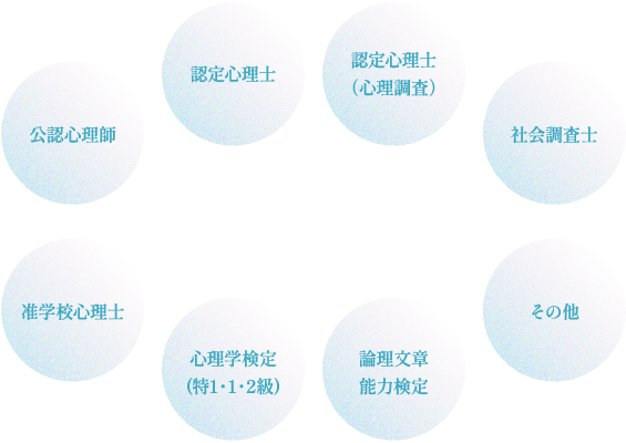 公認心理師/認定心理士/認定心理士(心理調査)/社会調査士/准学校心理士/心理学検定(特1・1・2級)/論理文章能力検定/その他