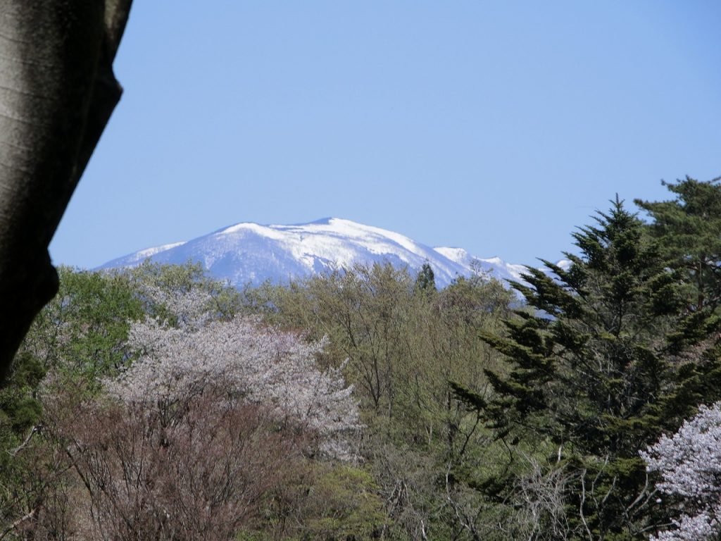 CIMG6235