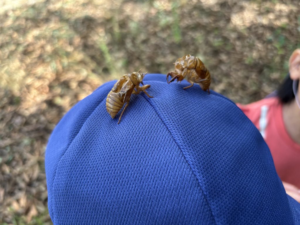 IMG_1386