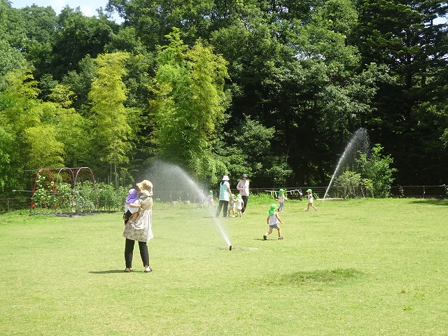 DSC08850
