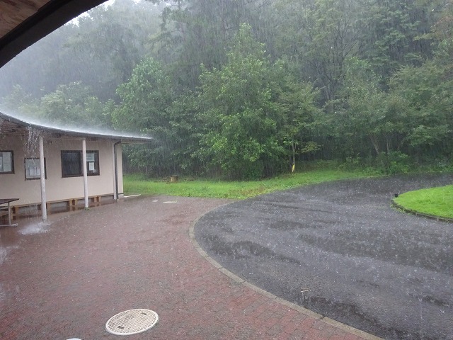 DSC00523
