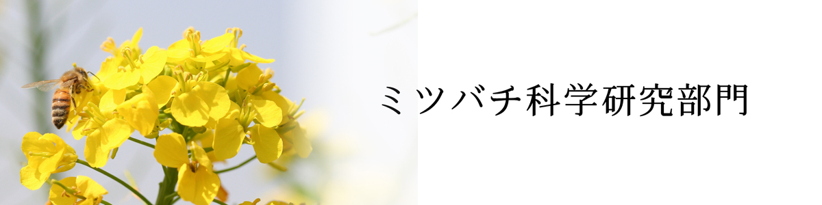 概要組織・教員・マップなど取り組み関連情報（もっと知る）学部大学院カレンダー・学び・教員サークル・資格・留学などキャンパス・在学生紹介学生生活サポート入試情報試験の種類高校生向けイベントもっと知る就職情報資格・免許採用担当の皆様へ概要自治体・企業との連携海外大学との連携地域との連携            大学紹介                        概要                          組織・教員・マップなど                          取り組み                          関連情報（もっと知る）                        学部・大学院                        学部                          大学院                        キャンパスライフ                        カレンダー・学び・教員                          サークル・資格・留学など                          キャンパス・在学生紹介                          学生生活サポート                        入試                        入試情報                          試験の種類                          高校生向けイベント                          もっと知る                        就職                        就職情報                          資格・免許                          採用担当の皆様へ                        社会連携（企業コラボなど）                        概要                          自治体・企業との連携                          海外大学との連携                          地域との連携                        学術情報                    大学や受験に関する疑問や不安は、ここで解決。              大学や受験に関する疑問や不安は、ここで解決。