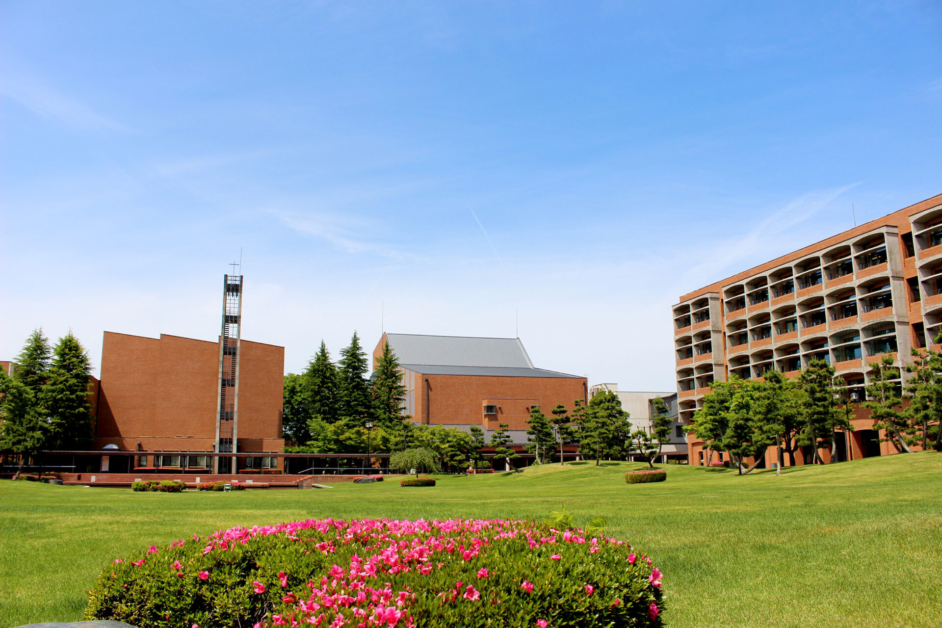 佐々木 舞 – 宮城学院女子大学